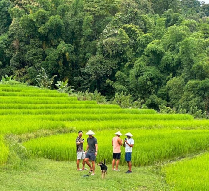 Chiang Mai: Doi Inthanon Park and Pha Dok Siew Trail Trek - Pha Dok Siew Nature Trail: the trek that most people remember