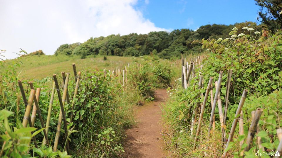 Chiang Mai: Doi Inthanon Park Day Trip with Kiw Mae Pan Hike - Getting to Doi Inthanon from Chiang Mai: early start and smooth logistics
