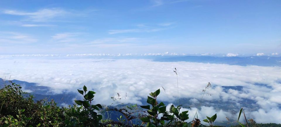 Chiang Mai: Doi Inthanon Park Day Trip with Kiw Mae Pan Hike - Who this day trip fits best in real life