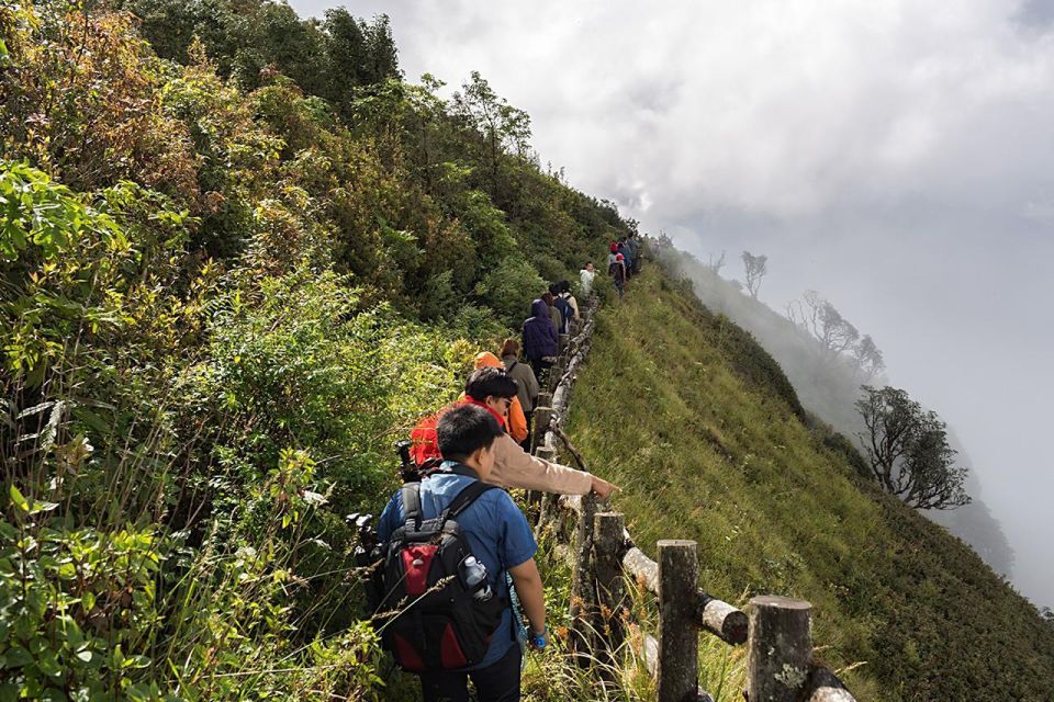 Chiang Mai: Doi Inthanon Park Day Trip with Kiw Mae Pan Hike - Lunch and pacing: how to stay energized on a full-day circuit