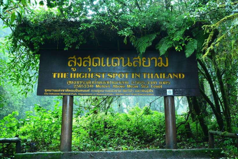 Chiang Mai: Doi Inthanon Park Tour & Kew Mae Pan Trail Hike - Doi Inthanon in one day: what you’re really signing up for
