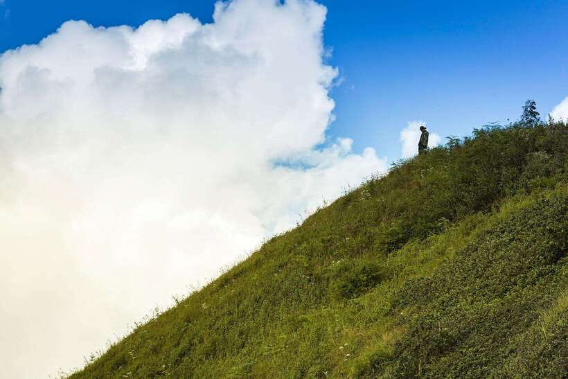 Chiang Mai: Doi Inthanon Park Tour & Kew Mae Pan Trail Hike - Price and what’s included: the national park fee choice