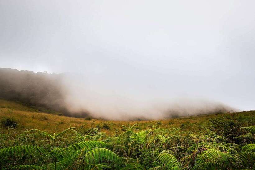 Chiang Mai: Doi Inthanon Park Tour & Kew Mae Pan Trail Hike - What to pack and what to wear for cooler mountain conditions