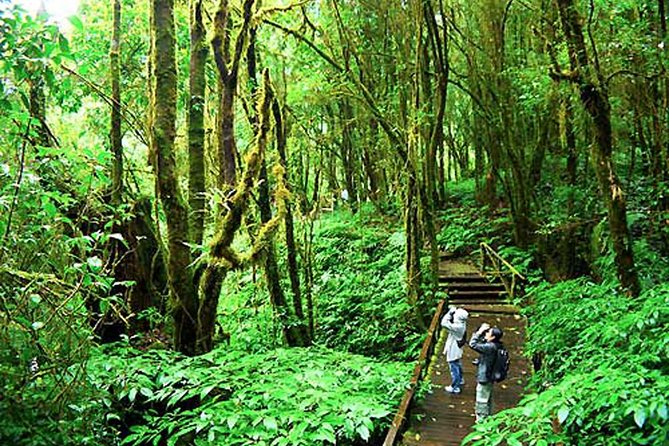 CHIANG MAI: Doi Inthanon-Trekking Keiw Mae Pan-Waterfall-Lunch - Practical tips so your hike feels good, not hard