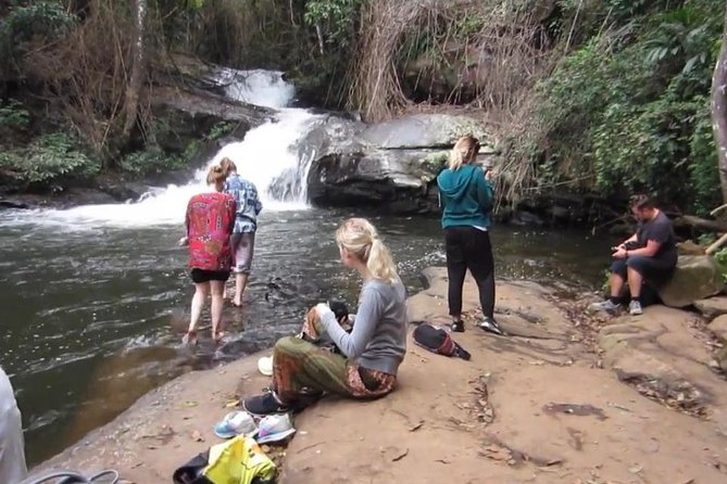 CHIANG MAI: Doi Inthanon-Trekking Pha Dok Seaw-Waterfall-Lunch - Karen village and rice terraces: cultural time that’s not just a quick photo