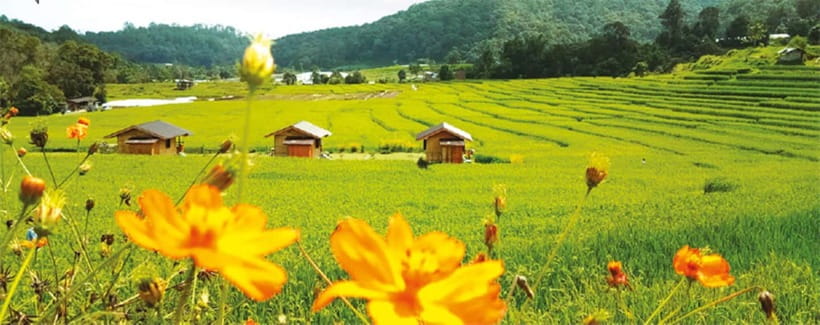 Chiang Mai: Doi Inthanon Trip with Pha Dok Siew Guided Trek - Price and value: the one detail you must double-check