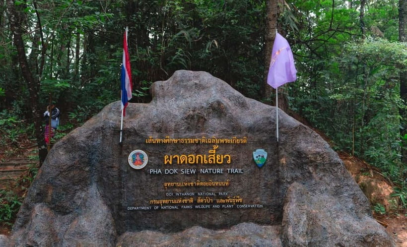 Chiang Mai: Doi Inthanon Trip with Pha Dok Siew Guided Trek - Why Doi Inthanon is a smart one-day plan from Chiang Mai
