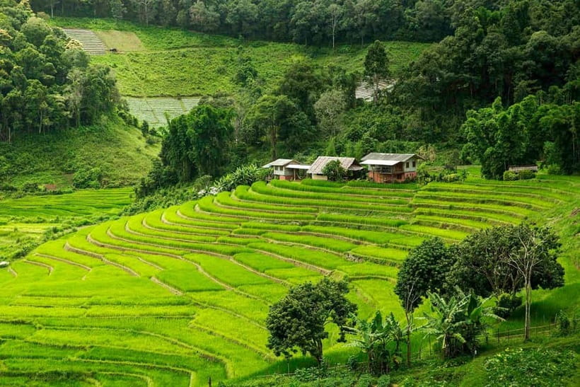 Chiang Mai: Doi Inthanon Trip with Pha Dok Siew Guided Trek - First big stops: Doi Inthanon entry plus the grand King and Queen pagodas