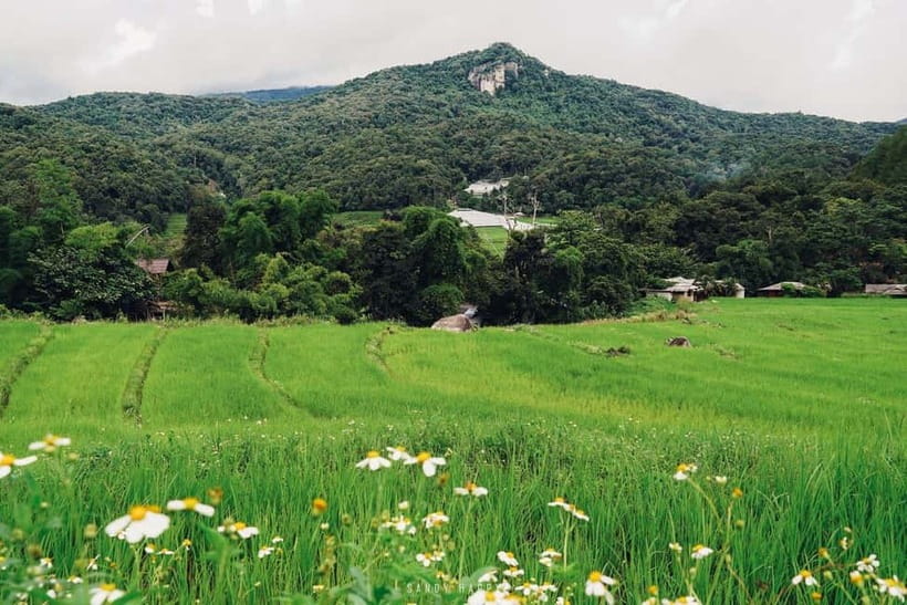 Chiang Mai: Doi Inthanon Trip with Pha Dok Siew Guided Trek - Pha Dok Siew Nature Trail: the highlight trek you’ll remember