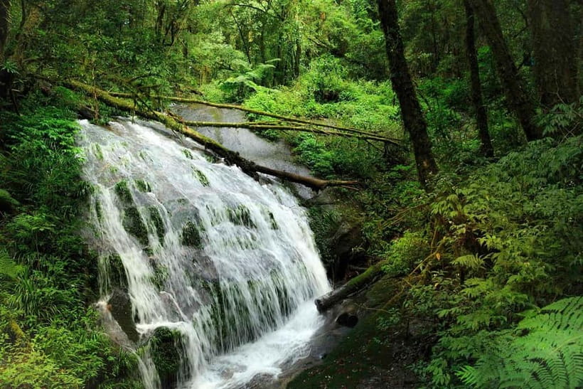 Chiang Mai: Doi Inthanon Trip with Pha Dok Siew Guided Trek - Transportation, timing, and the group-size reality