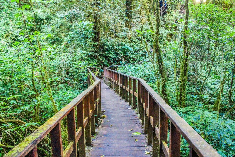Chiang Mai: Doi Inthanon, Waterfalls, & Tribal Villages Tour - Tribal villages of the Karen and Hmong: cultural context you can ask questions about