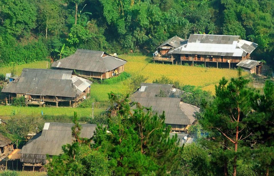 Chiang Mai: Doi Suthep and Hmong Village Half-Day Tour - Key highlights worth your attention