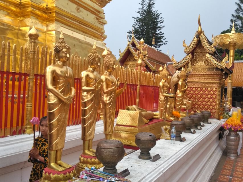Chiang Mai: Doi Suthep National Park Leisure Hiking & Biking - A Hill Tribe Village Near the Summit: Culture With a Walking Pace
