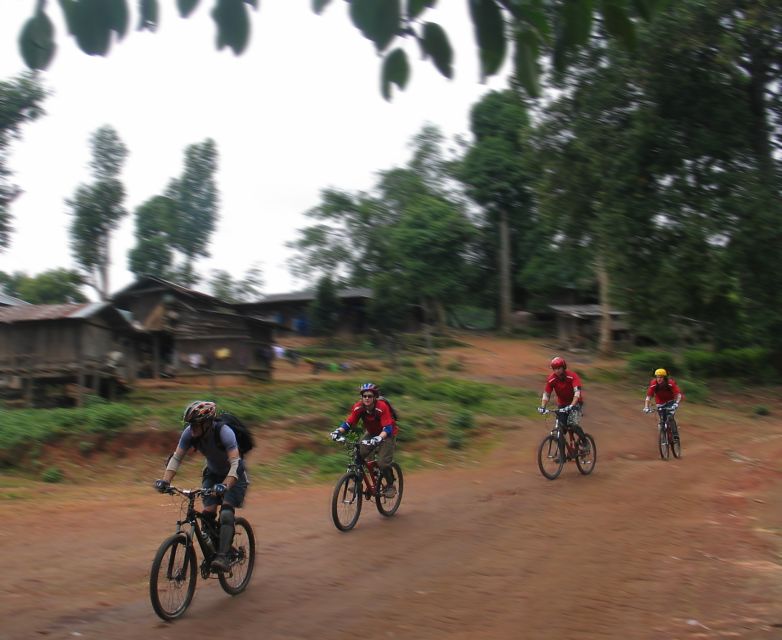 Chiang Mai: Doi Suthep National Park Leisure Hiking & Biking - Food and Energy: Vegetarian/Vegan Lunch That Helps You Finish Strong