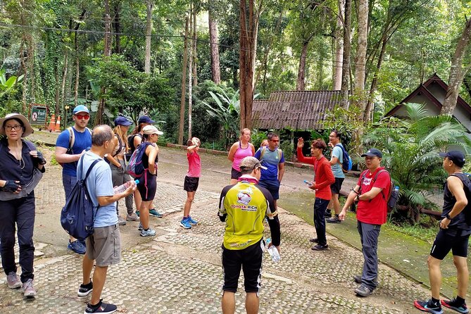 Chiang Mai: Doi Suthep Summit Trek – 7 Hour Pure Hiking Adventure - What this 7-hour Doi Pui summit trek feels like