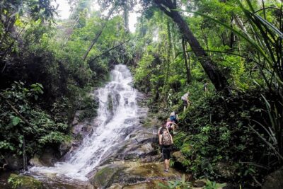 Chiang Mai: Doi Suthep Summit Trek – 7 Hour Pure Hiking Adventure - From Monk’s Trail to Wat Pha Lat: warm-up through jungle edges