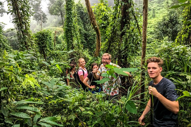 Chiang Mai: Doi Suthep Summit Trek – 7 Hour Pure Hiking Adventure - Waterfalls, viewpoints, and the ending ride down