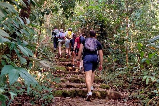 Chiang Mai: Doi Suthep Summit Trek – 7 Hour Pure Hiking Adventure - Price and value: what THB250 + $60 actually buys you
