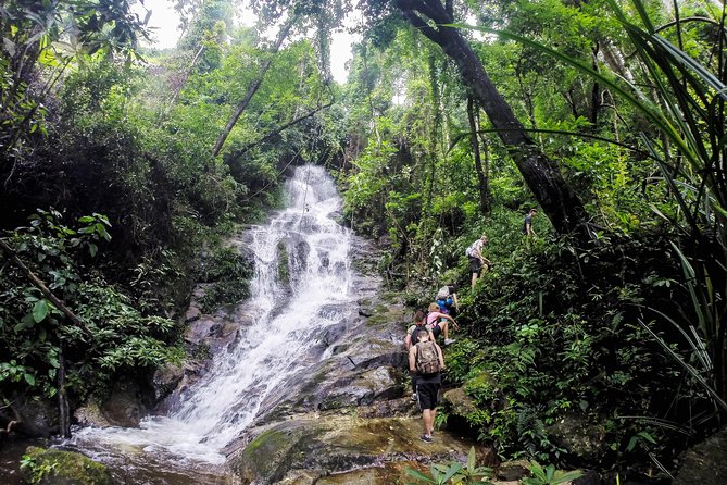 Chiang Mai: Doi Suthep Summit Trek – 7 Hour Pure Hiking Adventure - From Monk’s Trail to Wat Pha Lat: warm-up through jungle edges