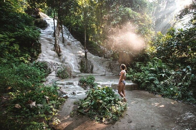 Chiang Mai Doi Suthep Temple and Sticky Waterfall Tour (Private & All-Inclusive) - Key highlights that make this day work