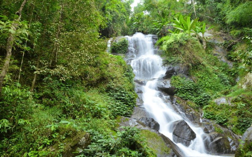 Chiang Mai: Doi Suthep Temple and Waterfall by Songtaew Trio - Wat Pha Lat: Forest Temple, Real Lanna Detail, and Space to Breathe