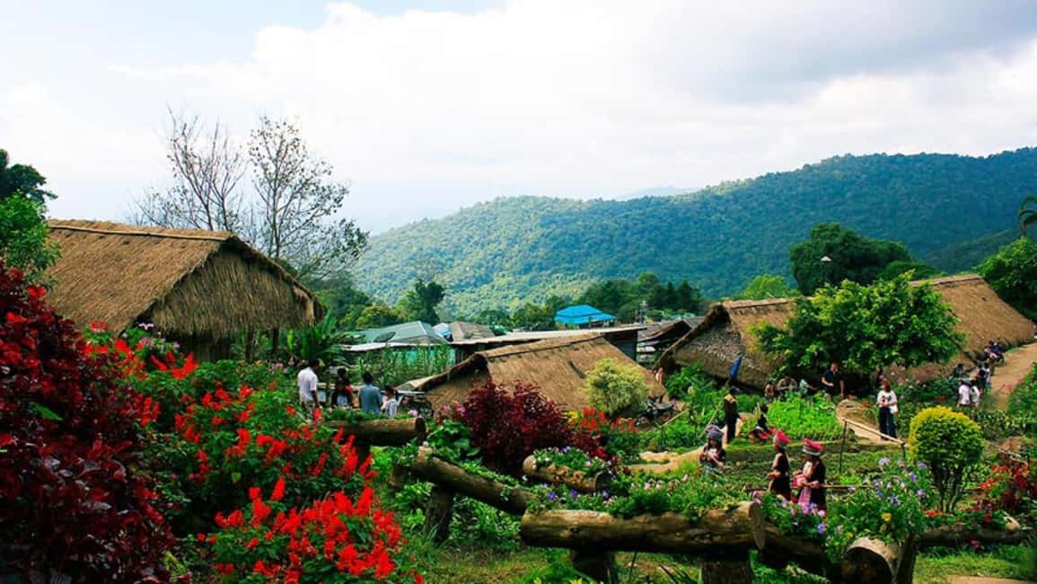 Chiang Mai: Doi Suthep Temple & Hmong Hill Tribe Culture - Key highlights to look for