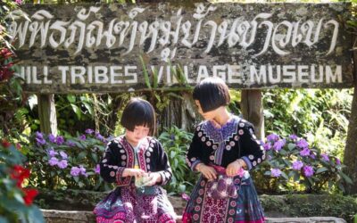 Chiang Mai: Doi Suthep Temple & Hmong Hill Tribe Culture - Wat Phra That Doi Suthep: The 306 Steps and the Big Payoff