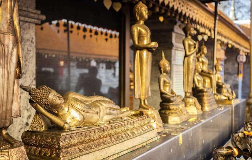 Chiang Mai - Doi Suthep Temple & Wat Pha Lat Hike - Who should book this Chiang Mai half day