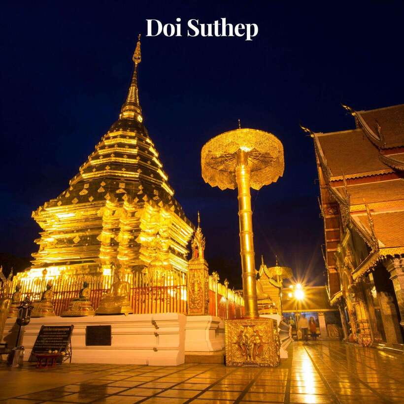 Chiang Mai: Doi Suthep & Wat Umong OR Wat Pha Lat Night Tour - The evening timing: pickup at 5:00–5:30, return around 8:30–9:00
