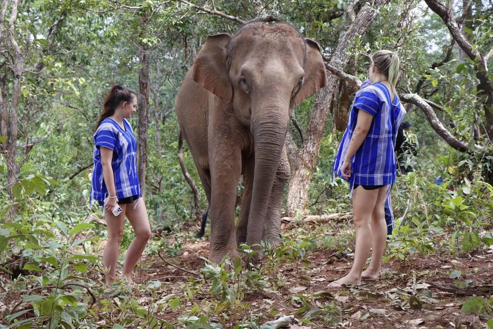 Chiang Mai: Elephant Dream Project Sanctuary - Half-Day - What to bring: hiking shoes, insect repellent, and sun protection