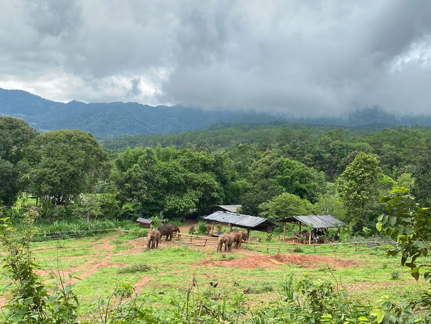 Chiang Mai: Elephant Dream Project Sanctuary - Half-Day - Elephant Dream Project Sanctuary near Chiang Mai: what makes it feel different