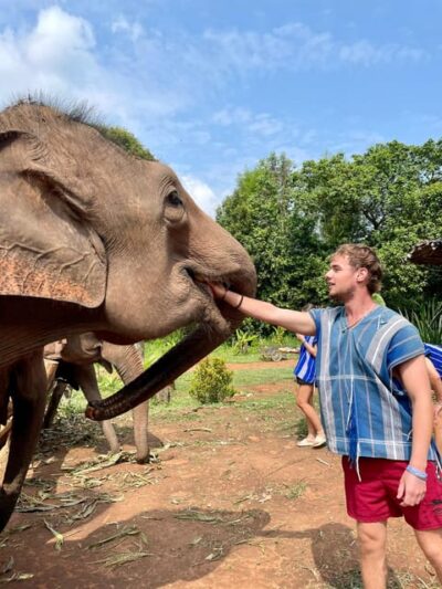 Chiang Mai: Elephant Dream Project Sanctuary - Half-Day - Hotel pickup, the drive out of Chiang Mai, and arriving in jungle country