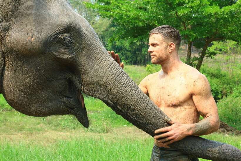 Chiang Mai: Elephant Feeding Experience - Key Highlights You’ll Actually Care About