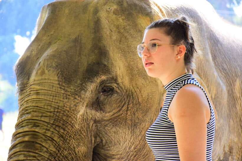Chiang Mai: Elephant Feeding Experience - Elephant Retirement Park Chiang Mai: what you’re signing up for