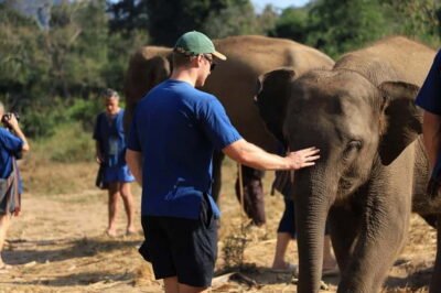 Chiang Mai: Elephant Sanctuary Bamboo Raft & Padthai Cooking - Mo Hom clothing, feeding, and forest walking: the part you’ll remember