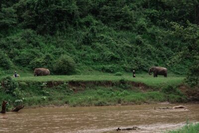Chiang Mai Elephant Sanctuary, Bamboo Rafting and Waterfall Tour - Stop 1: Bua Thong Waterfalls (Sticky Waterfall) and the barefoot climb