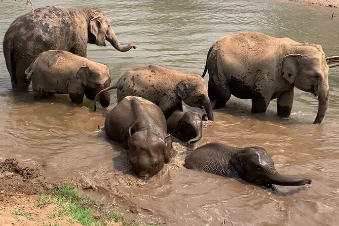 Chiang Mai Elephant Sanctuary, Bamboo Rafting and Waterfall Tour - Stop 3: Bamboo rafting at 8Adventures Camp (slow scenery after the action)