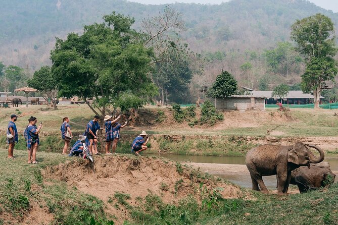 Chiang Mai Elephant Sanctuary, Bamboo Rafting and Waterfall Tour - Practical tips to make the day smoother