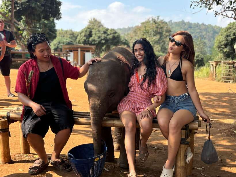 Chiang Mai: Elephant Sanctuary Feeding Program Half-Day Tour - Elephant Sanctuary Half-Day in Chiang Mai: What It Feels Like in Real Life
