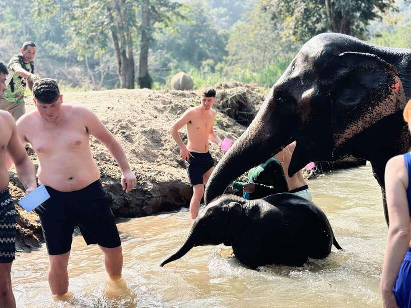 Chiang Mai: Elephant Sanctuary Feeding Program Half-Day Tour - Photos You’ll Actually Keep: How to Get the Shot