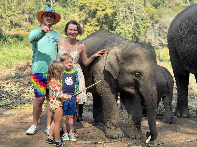 Chiang Mai: Elephant Sanctuary Feeding Program Half-Day Tour - Price and Value in Chiang Mai: Why $27 Can Be Good (If You Prepare)