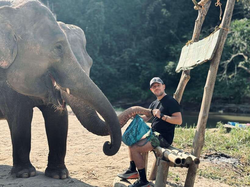 Chiang Mai: Elephant Sanctuary Feeding Program Half-Day Tour - Who This Tour Suits Best—and Who Should Skip