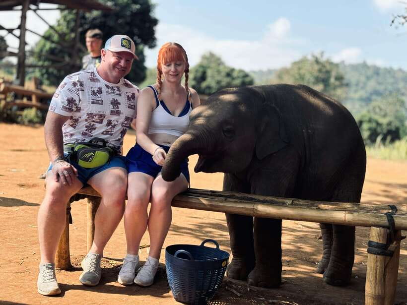Chiang Mai: Elephant Sanctuary Feeding Program Half-Day Tour - First Stop: Meet the Team, Then Learn How to Behave