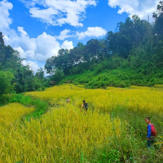 Chiang Mai: Elephant Sanctuary & Jungle Trek w/ Waterfall - From Baan Meesuk to Mae Wang: How the day gets moving