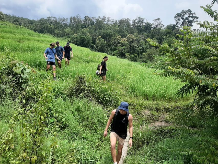 Chiang Mai: Elephant Sanctuary & Jungle Trek w/ Waterfall - Elephant sanctuary time: rescued elephants, hands-on moments