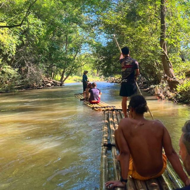Chiang Mai: Elephant Sanctuary & Jungle Trek w/ Waterfall - Jungle trek to the waterfall: short walk, real payoff