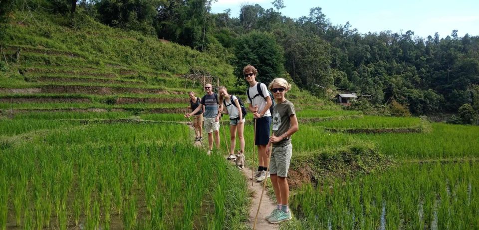 Chiang Mai: Elephant Sanctuary & Jungle Trek w/ Waterfall - Wildlife viewing and the return drive: how the ending plays out