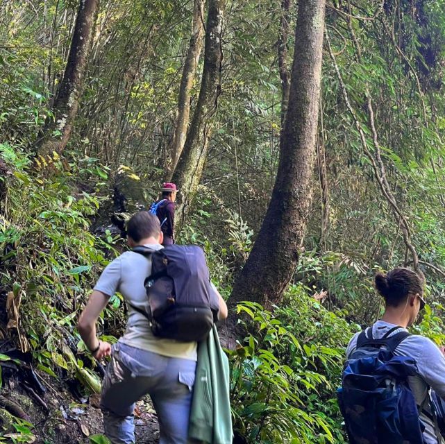 Chiang Mai: Elephant Sanctuary & Jungle Trek w/ Waterfall - Price and value: what $61 covers in a full day