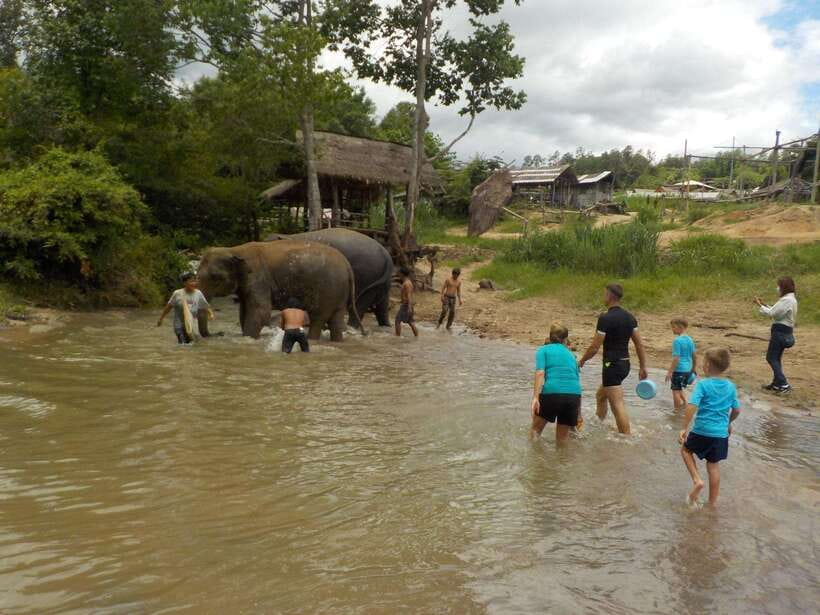Chiang Mai: Elephant Sanctuary Local Hill Tribe Caretakers - The Mae Wang Waterfall hike: short, scenic, and good exercise