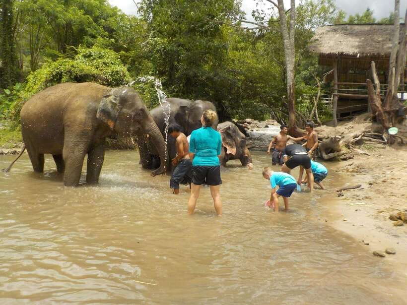 Chiang Mai: Elephant Sanctuary Local Hill Tribe Caretakers - Lunch in the sanctuary: a simple included win
